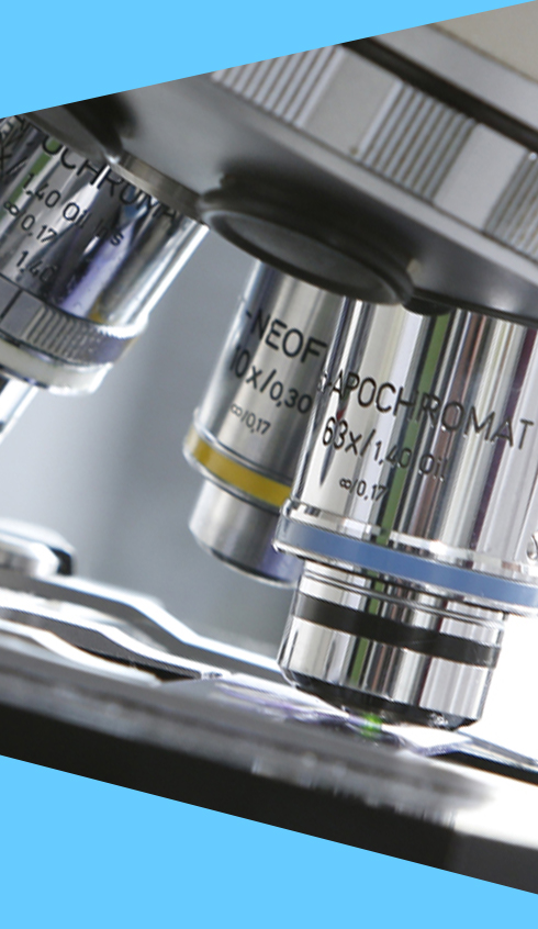 Zytogenetische Diagnostik Zytogenetische Diagnostik