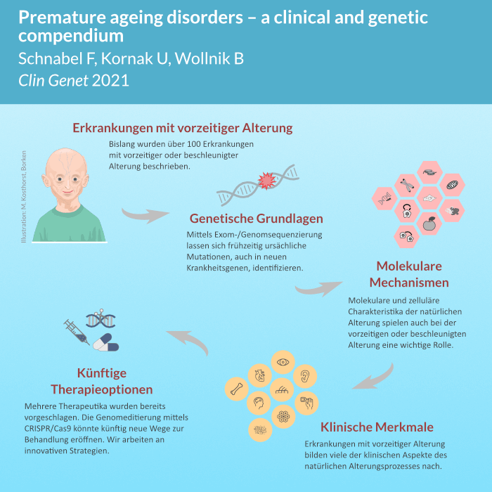 Unser Review-Artikel zu progeroiden Erkrankungen