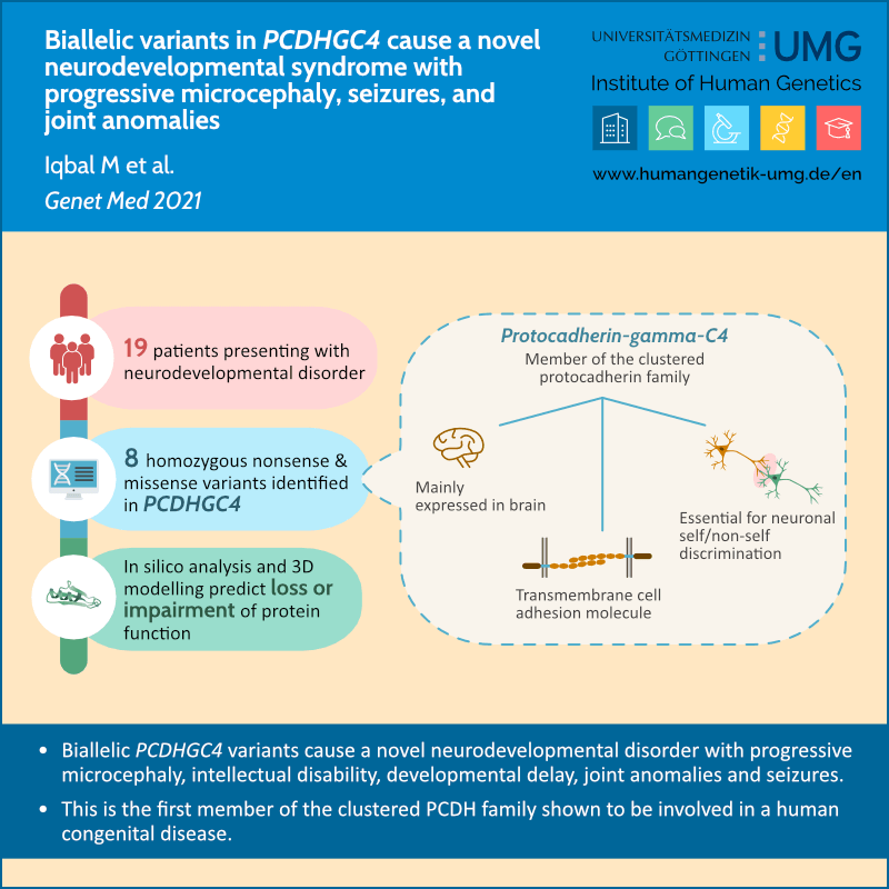 news-pcdhgc4 news-pcdhgc4