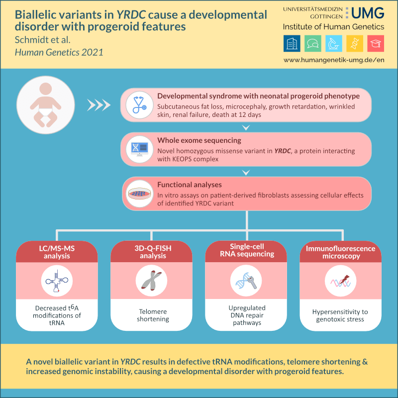 yrdc-visual-abstract-en