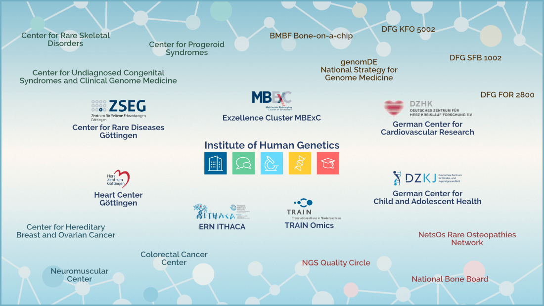 humangenetik-vernetzung-en-1100 humangenetik-vernetzung-en-1100