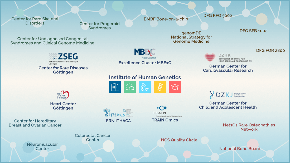humangenetik-vernetzung-en-1100